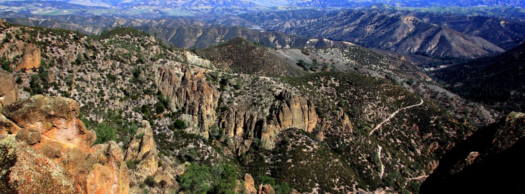 IMG_7523_00-1080x400